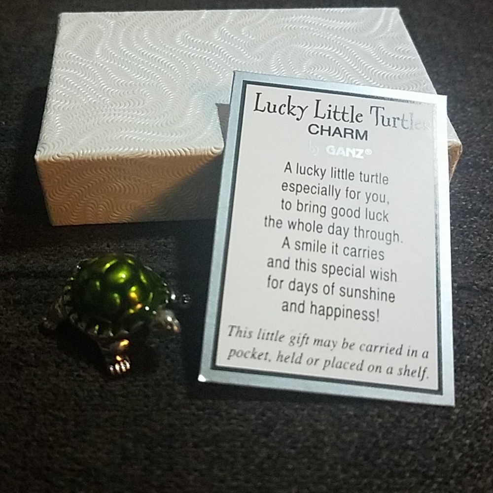 Lucky Charm Turtle
